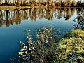 adda (24)
